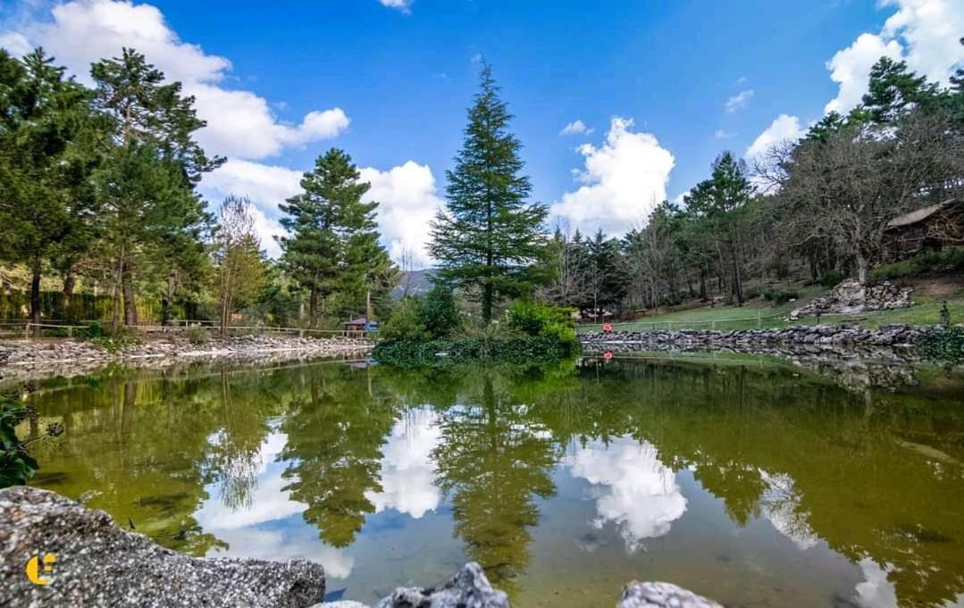 Casa Esmeralda en ZAFIRO LAGUNAZO Parque Natural Rio Mundo Riópar Exterior foto