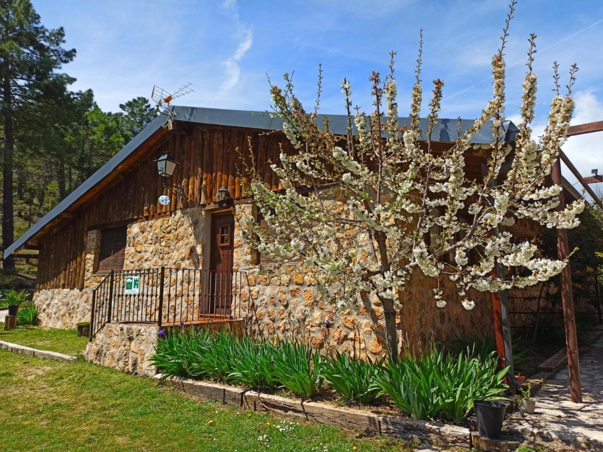 Casa Esmeralda en ZAFIRO LAGUNAZO Parque Natural Rio Mundo Riópar Exterior foto